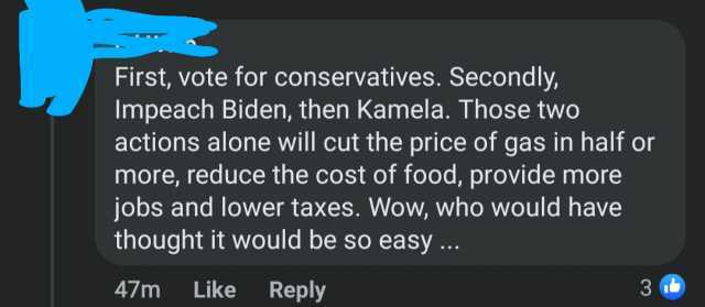 First vote for conservatives. Secondly Impeach Biden then Kamela. Those two actions alone will cut the price of gas in half or more reduce the cost of food provide more jobs and lower taxes. Wow who would have thought it would be 