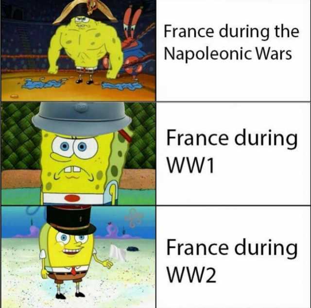 France during the Napoleonic Wars France during WW1 France during WW2