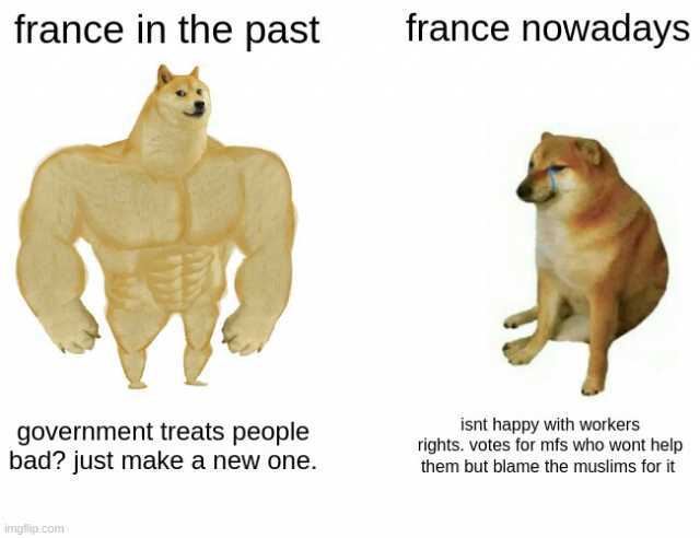 france in the past france nowadays government treats people bad just make a new one. isnt happy with workers rights. votes for mfs who wont help them but blame the muslims for it imgflip.com