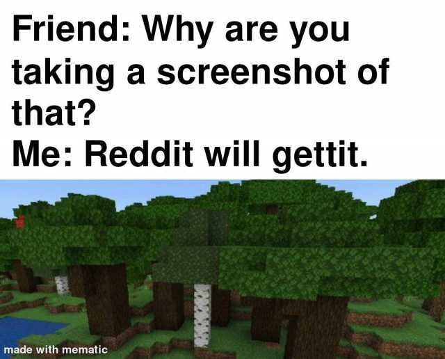 Friend Why are you taking a screenshot of that Me Reddit will gettit. made with mematic
