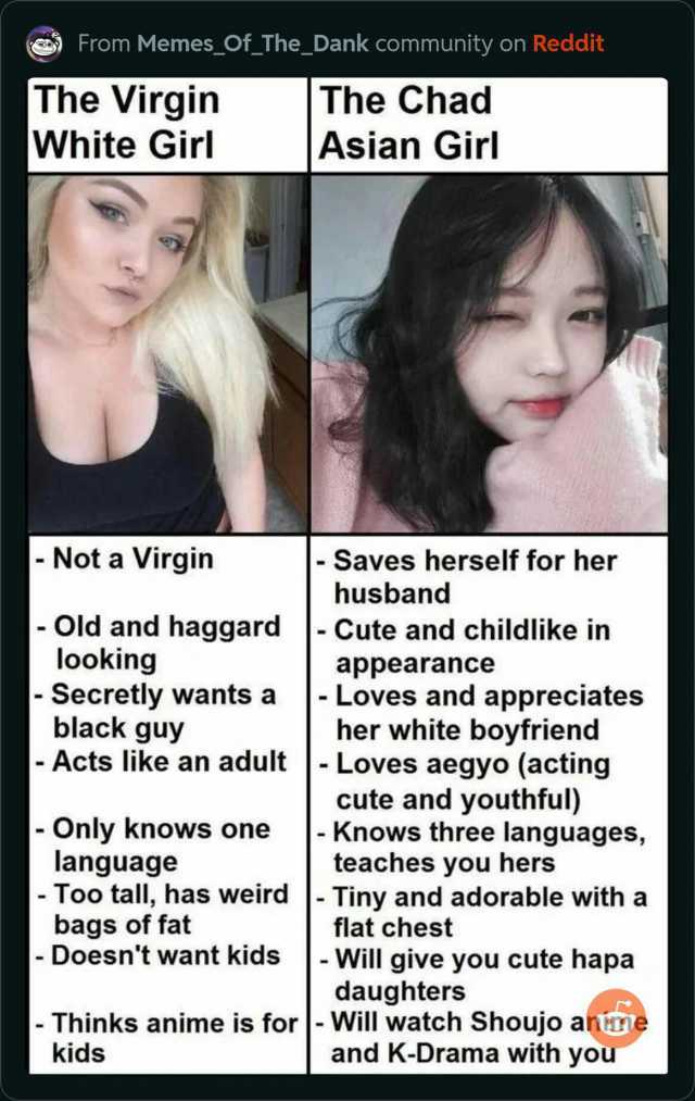 From Memes_Of_The_Dank community on Reddit The Virgin White Girl - Not a Virgin Old and haggard looking -Secretly wants a black guy - Acts like an adult - Only knows one language - Too tall has weird bags of fat -Doesnt want kids 