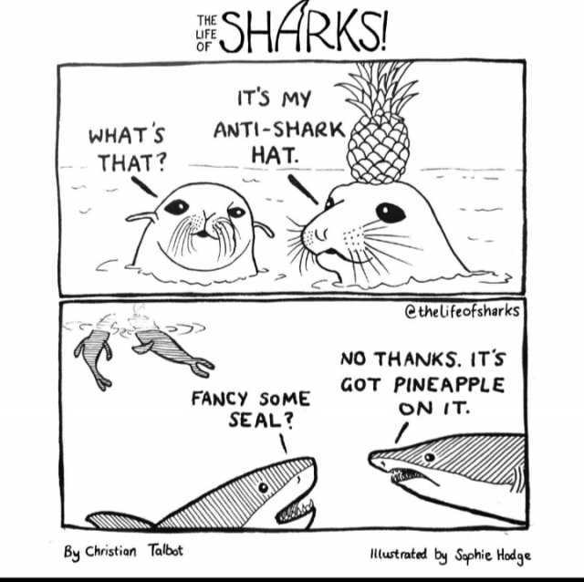 FSHARKS ITS MY ANTI-SHARK HAT. WHATS THAT etheifeofsharks NO THANKS. ITS GOT PINEAPPLE FANCY SoME ON IT SEAL By Christian Talbot lust rated b Sophie Hodg