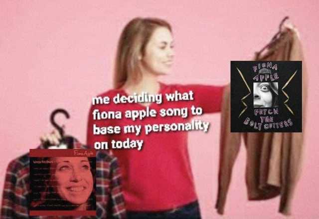 FUONA APPLE me deciding what fiona apple song to base my personality FETCH THE LT COTTERS on today Fiara Apple WHENTHEN 