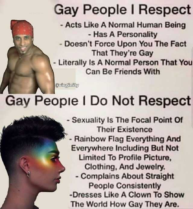 Gay People I Respect Acts Like A Normal Human Being - Has A Personality - Doesnt Force Upon You The Fact That Theyre Gay - Literally Is A Normal Person That You Can Be Friends With ootngnity Gay Peopie I Do Not Respect - Sexuality