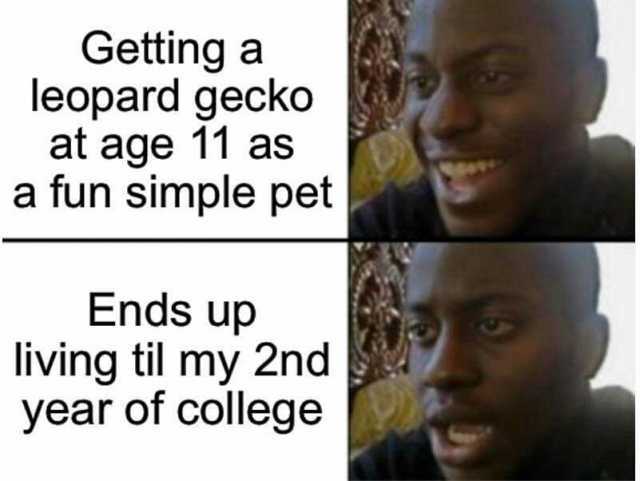 Getting a leopard gecko at age 11 as a fun simple pet Ends up living til my 2nd year of college