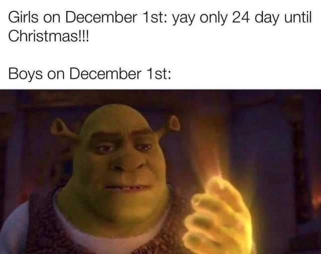 Girls on December 1st yay only 24 day until Christmas!!! Boys on December 1st 