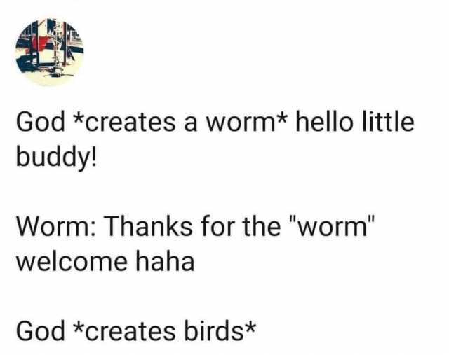 God *creates a worm* hello little buddy! Worm Thanks for the worm welcome haha God *creates birds* 