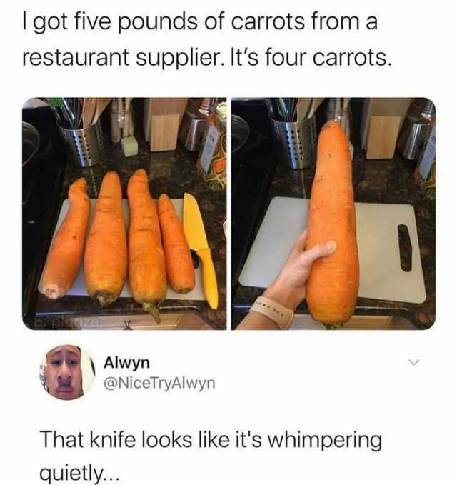 got five pounds of carrots from a restaurant supplier. Its four carrots. Alwyn @NiceTryAlwyn That knife looks like its whimpering quietly..
