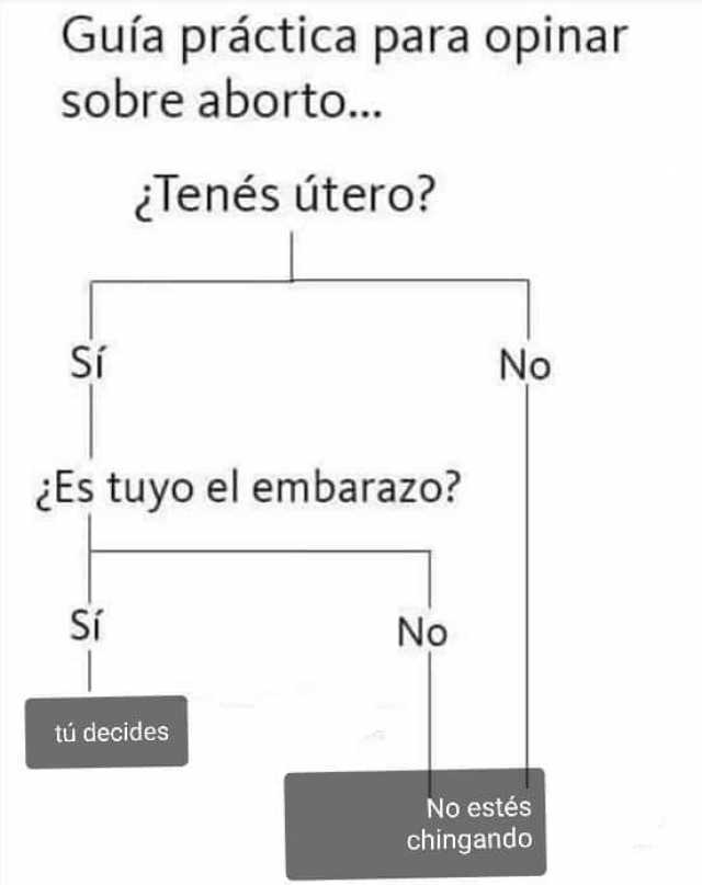 Guía práctica para opinar sobre aborto... ¿Tenés útero? Si No ¿Es tuyo el embarazo? Sí No tú decides No estés chingando 