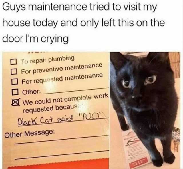 Guys maintenance tried to visit my house today and only left this on the door Im crying To repair plumbing For preventive maintenance D For requested maintenance Other We could not complete work requested becausS DlacK Cat ecio! R
