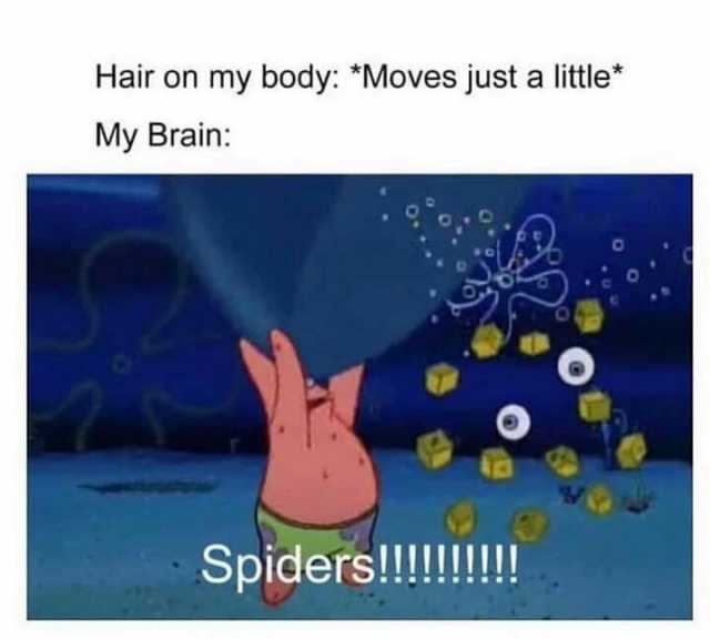 Hair on my body Moves just a little My Brain Spiders!!!