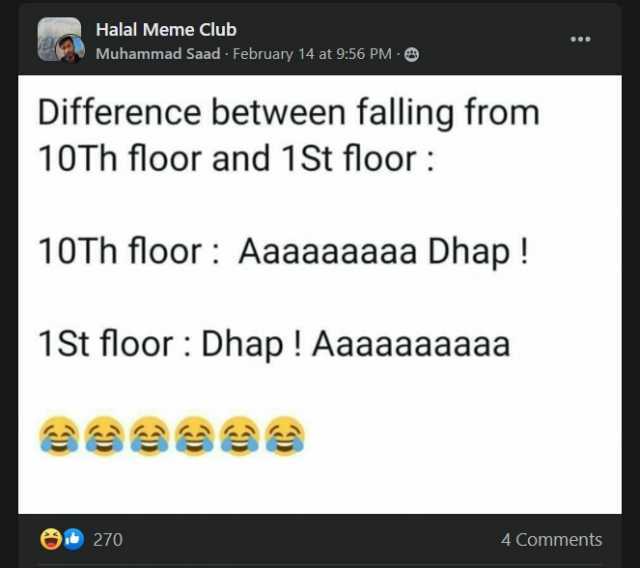 Halal Meme Club Muhammad Saad February 14 at 956 PM - E Difference between falling from 10Th floor and 1St floor 10Th floor Aaaaaaaaa Dhap! 1St floor Dhap! Aaaaaaaaaa 270 4 Comments