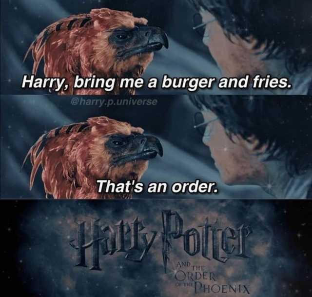 Harry bring me a burger and fries. @harry.p.universe Thats an order. AND THE ORDER PHOENIX OF THE 