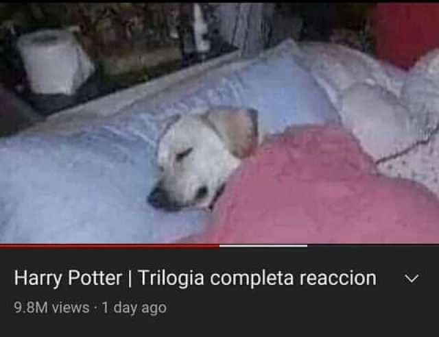 Harry Potter  Trilogia completa reaccion 9.8M views 1 day ago