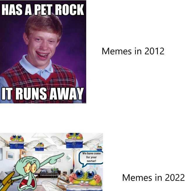 HAS A PET ROCK Memes in 2012 IT RUNS AWAY We have come for your nectar! Memes in 2022 ansoluteutcaselc