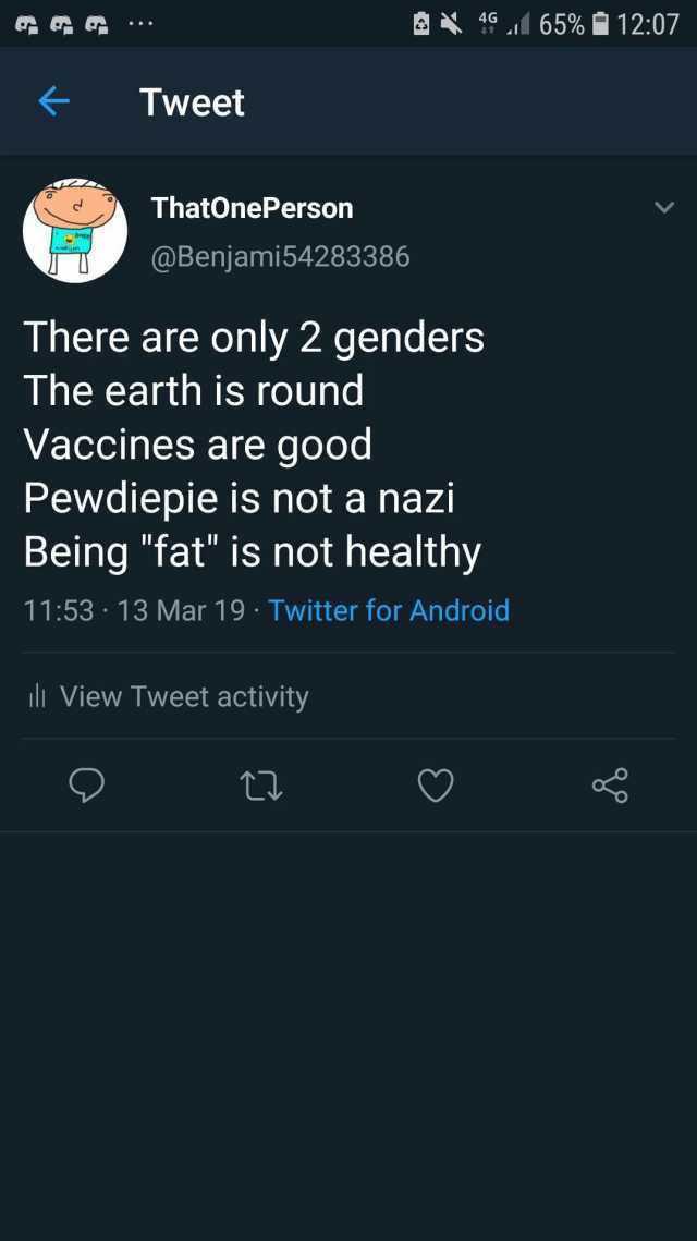 hatel Tweet ThatOnePerson @Benjami54283386 There are only 2 genders The earth is round Vaccines are good Pewdiepie is nota nazi Being fat is not healthy 9 65% 1207 1153 13 Mar 19 Twitter for Android il View Tweet activity