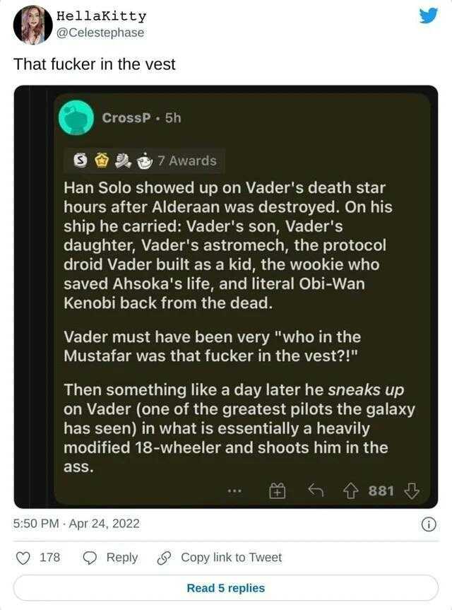 HellaKitty @Celestephase That fucker in the vest CrossP 5h 7 Awards Han Solo showed up on Vaders death star hours after Alderaan was destroyed. On his ship he carried Vaders son Vaders daughter Vaders astromech the protocol droid 