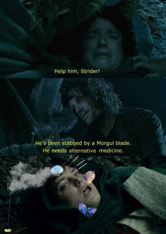 Help him Strider! nHes been stabbed by a Morgul blade. He needs alternative medicine.