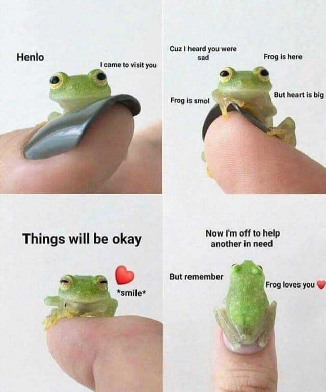 Henlo I came to visit you Things will be okay *smile* Cuz I heard you were sad Frog is smol Frog is here But remember But heart is big Now lm off to help another in need Frog loves you