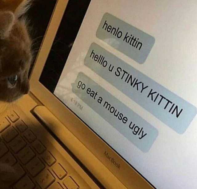 henlo kittin hello u STINKY KITTIN go eat a mouse ugly P MacBook