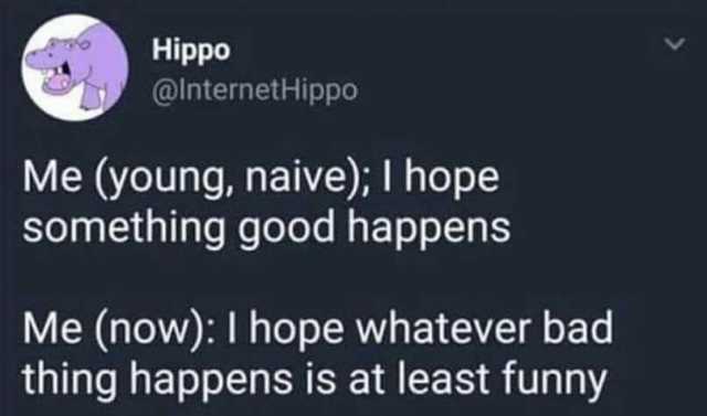 Hippo @InternetHippo Me (young naive); I hope something good happens Me (now) I hope whatever bad thing happens is at least funny