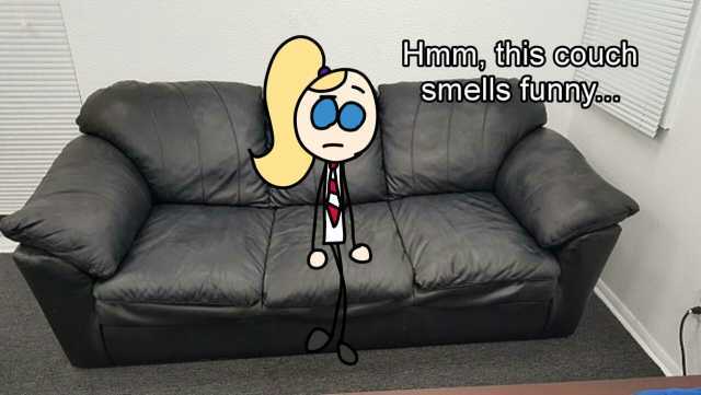 Hmm this couch Smells funny.o