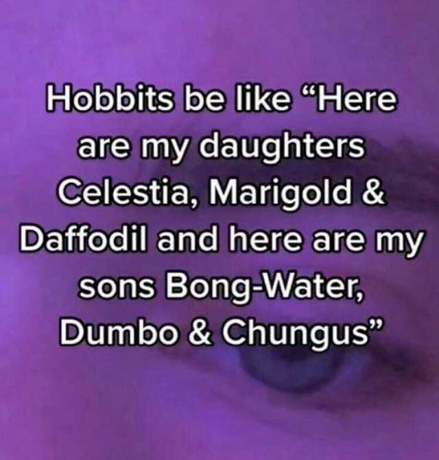 Hobbits be like Here are my daughters Celestia Marigold & Daffodil and here are my sons Bong-Water Dumbo & Chungus