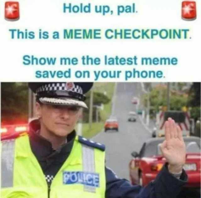 Hold up pal. This is a MEME CHECKPOINT. Show me the latest meme saved on your phone.