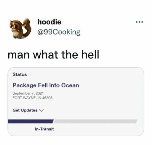 hoodie @99Cooking man what the hell Status Package Fell into Ocean September 7 2021 FORT WAYNE IN 46805 Get Updates v In-Transit