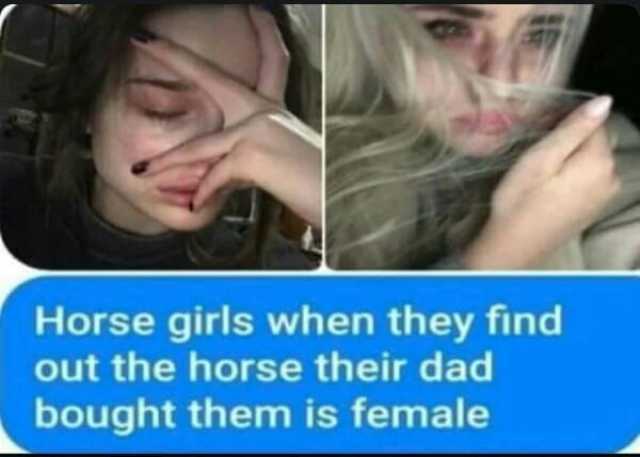 Horse girls when they find out the horse their dad bought them is female