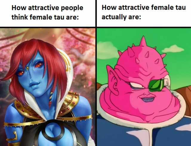 How attractive people How attractive female tau think female tau are actually are