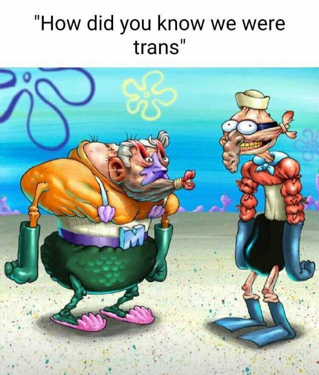 How did you know we were trans
