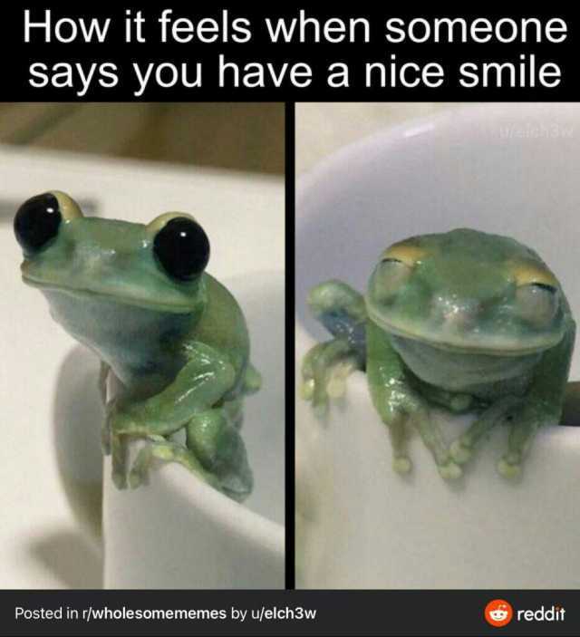 How it feels when someone says you have a nice smile Posted in r/wholesomememes by u/elch3w reddit