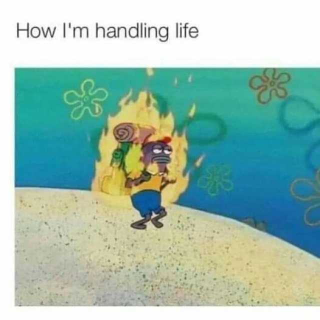 How lIm handling life