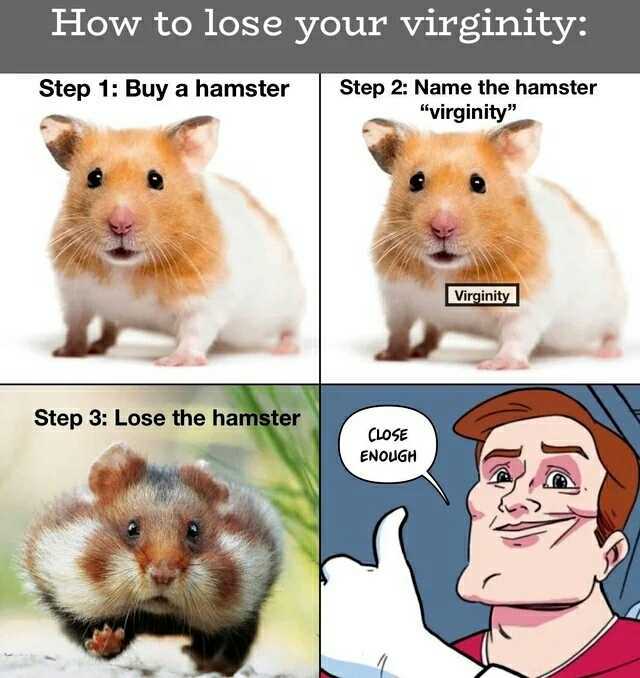 How to lose your virginity Step 1 Buy a hamster Step 2 Name the hamster virginity Virginity Step 3 Lose the hamster CLOSE ENOUGH