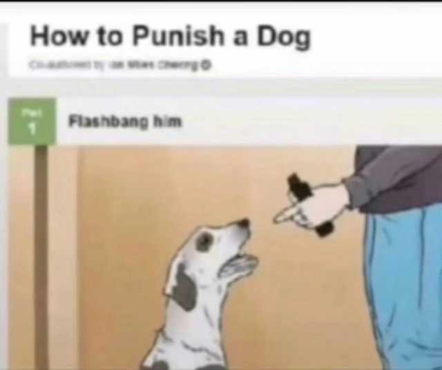 How to Punish a Dog Flashbang him - pt.dopl3r.com