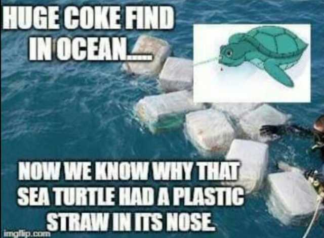 HUGE COKE FIND IN OCEAN NOW WE KNOW WHY THAI SEA TURTLE HADA PLASTIC STRAW IN TS NOSE ingllip.com