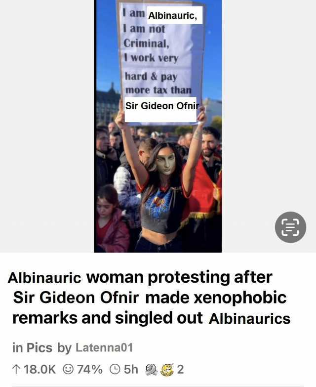 I am Albinauric I am not Criminal Iwork very hard & pay more tax than Sir Gideon Ofnir Albinauric woman protesting after Sir Gideon Ofnir made xenophobic remarks and singled out Albinaurics in Pics by Latenna01 18.0K 74% O 5h 2