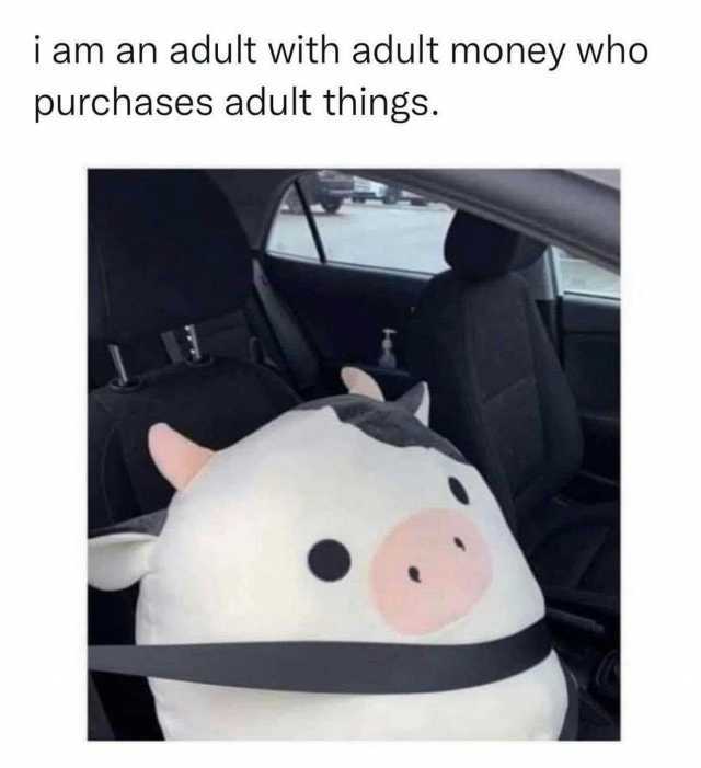 i am an adult with adult money who purchases adult things. J