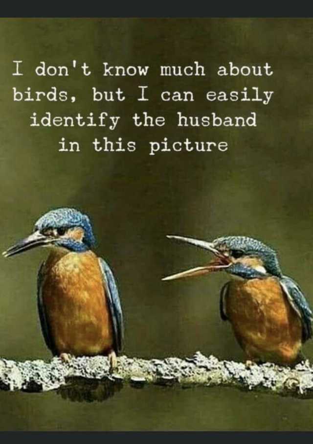 I dont know much about birds but I can easily identify the husband in this picture