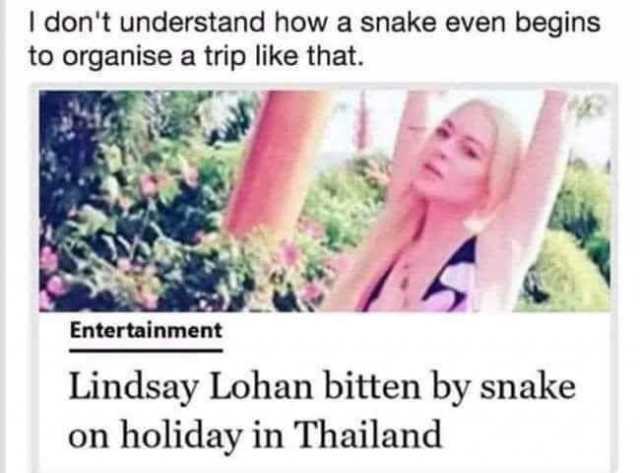 I dont understand how a snake even begins to organise a trip like that. Entertainment Lindsay Lohan bitten by snake on holiday in Thailand 