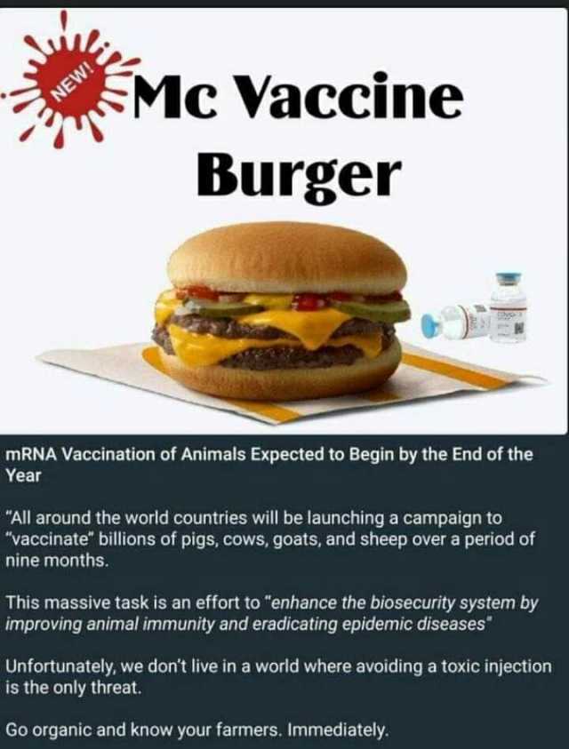 i Mc Vaccine NEW! Burger mRNA Vaccination of Animals Expected to Begin by the End of the Year All around the world countries will be launching a campaign to vaccinate billions of pigs cows goats and sheep over a period of nine mon