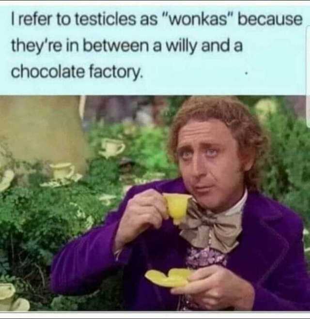 I refer to testicles as wonkas because they re in between a ily and a chocolate factory.