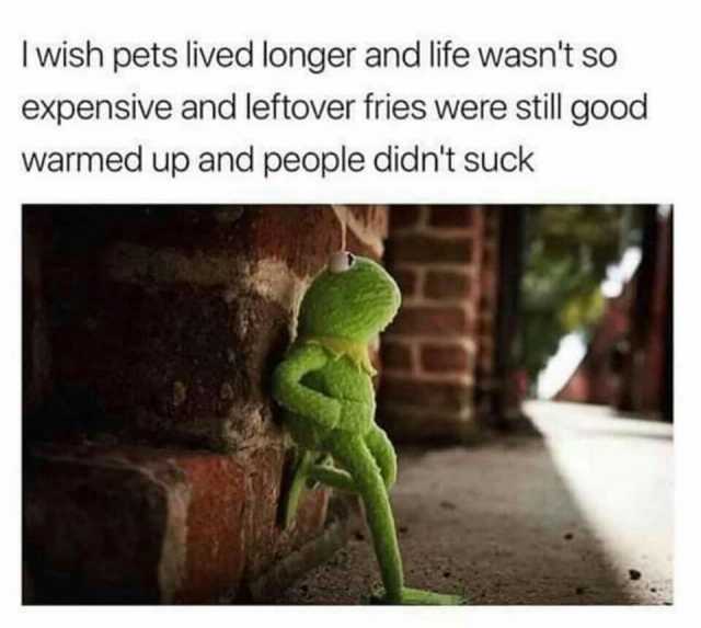 I wish pets lived longer and life wasnt so expensive and leftover fries were still good warmed up and people didnt suck