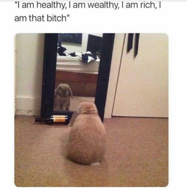 Iam healthy I am wealthy I am rich I am that bitch