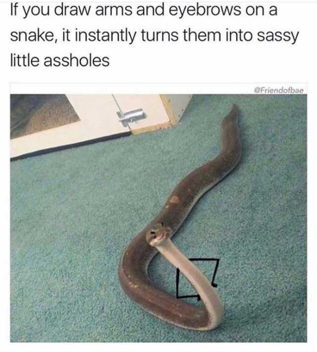 If you draw arms and eyebrows on a snake it instantly turns them into sassy little assholes @Friendofbae 