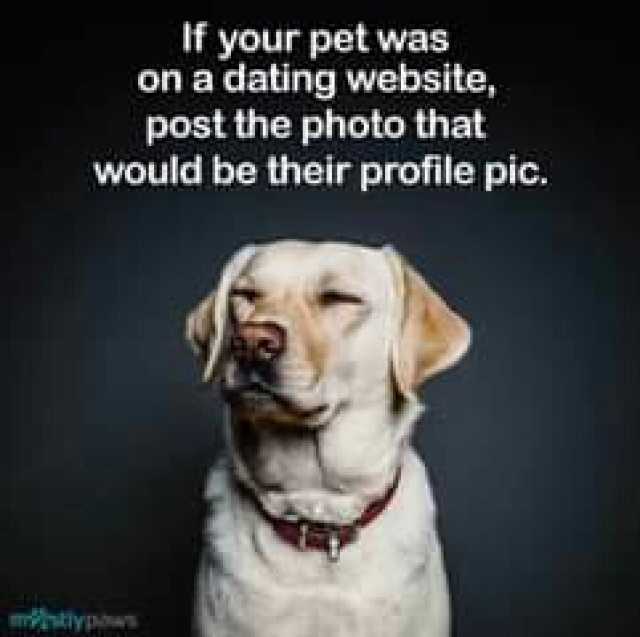 If your pet was on a dating website post the photo that Would be their profile pic. typs