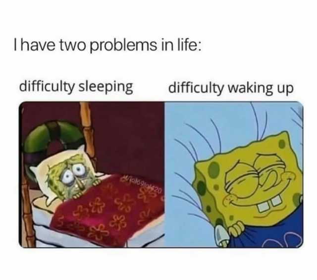 Ihave two problems in life difficulty waking up difficulty sleeping oN6 9o420