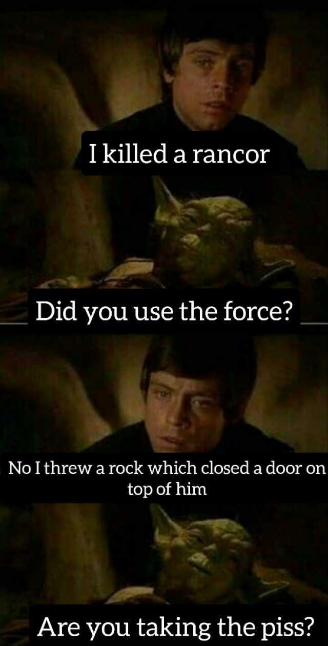 Ikilled a rancor Did you use the force No I threw a rock which closed a door on top of him Are you taking the piss