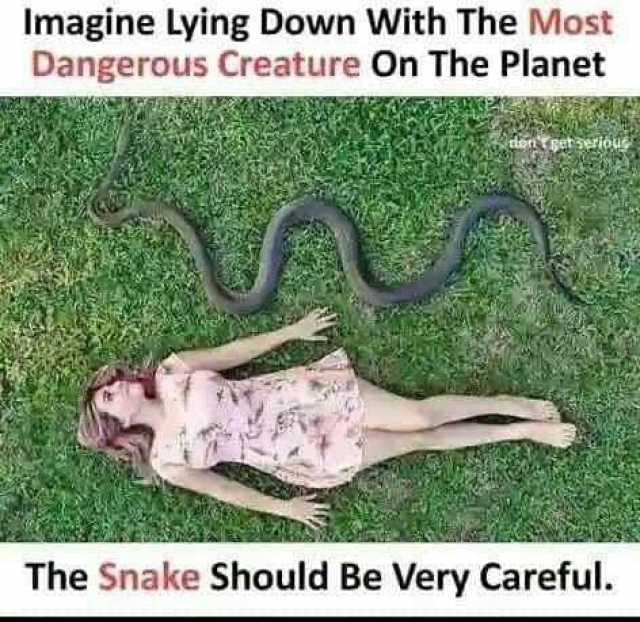 Imagine Lying Down With The Most Dangerous Creature On The Planet tongehserious The Snake Should Be Very Careful.